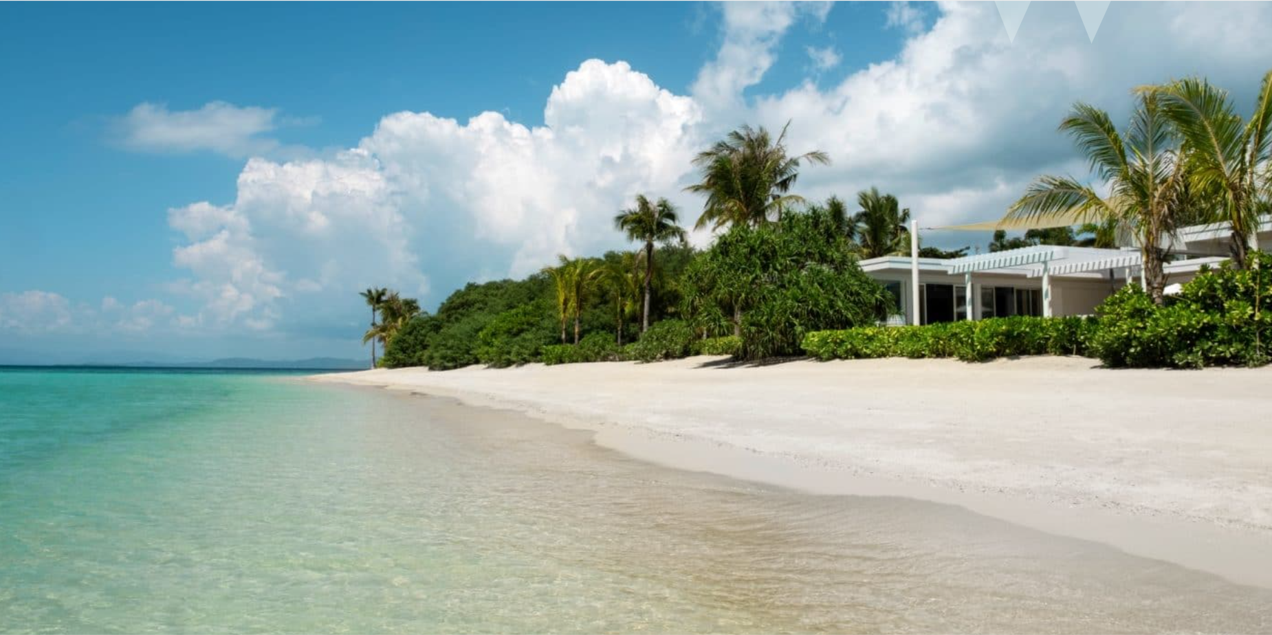 Banwa Private Island showcases its commitment to conservation through an art and education exhibit