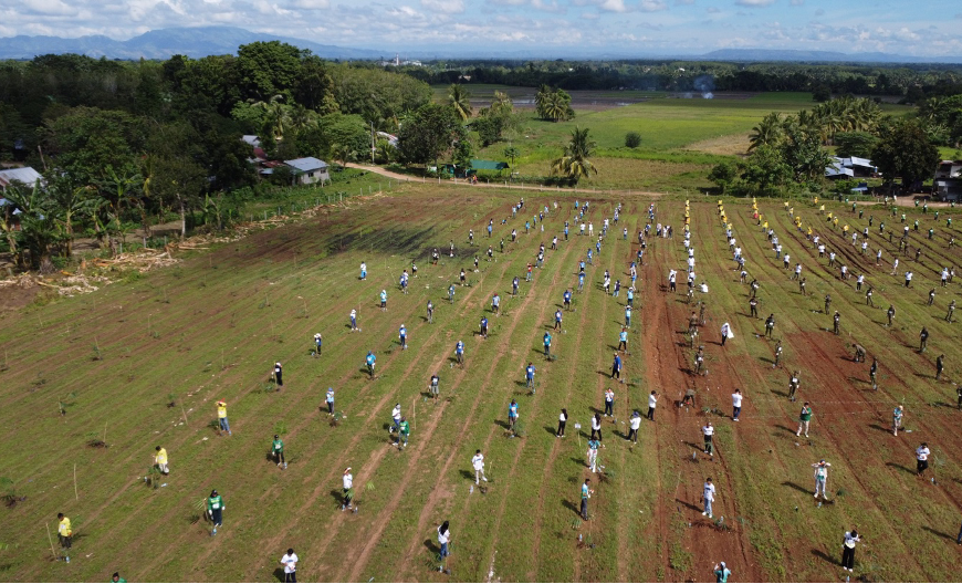 Kilambay Plantation show way as PH sets Guinness World Record for most people planting bamboo