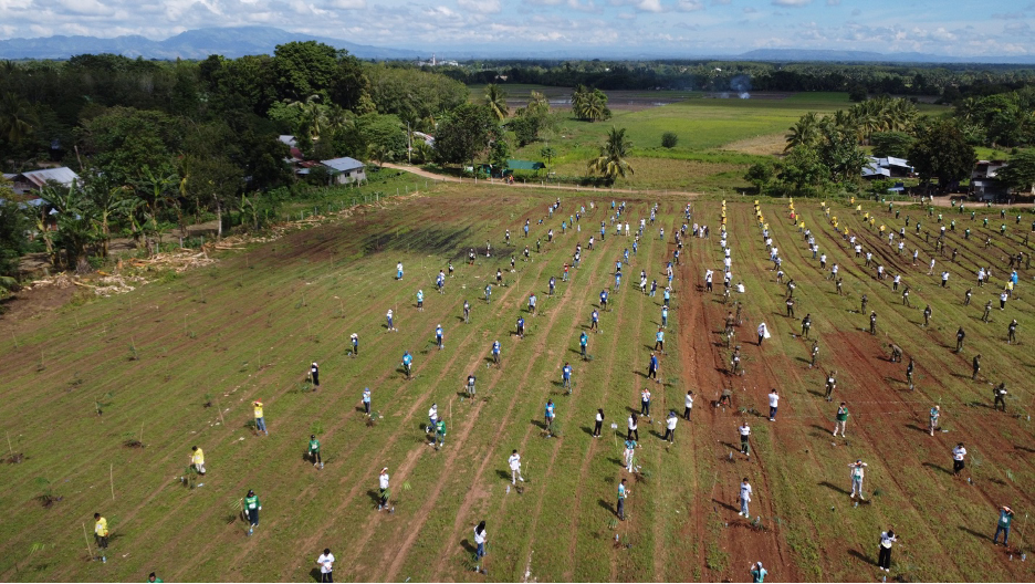 Kilambay Plantation helps PH set new Guinness World Record for most people planting bamboo