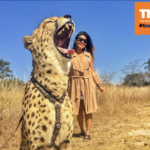 Snapshot of a TV coverage from The New Channel featuring a woman and a leopard