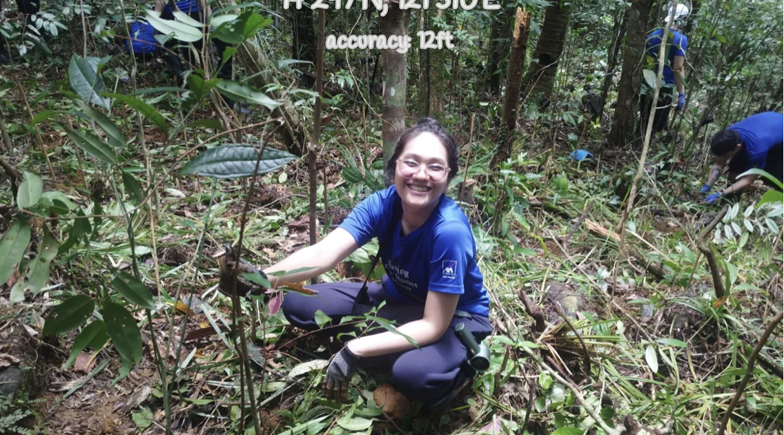 From planting trees to creating livelihoods: How AXA is rethinking corporate volunteerism
