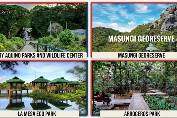 Forest parks near Metro Manila for a digital detox