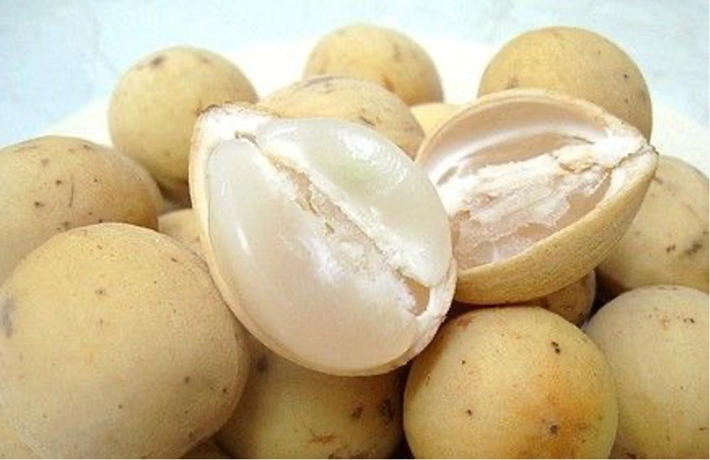 Lanzones